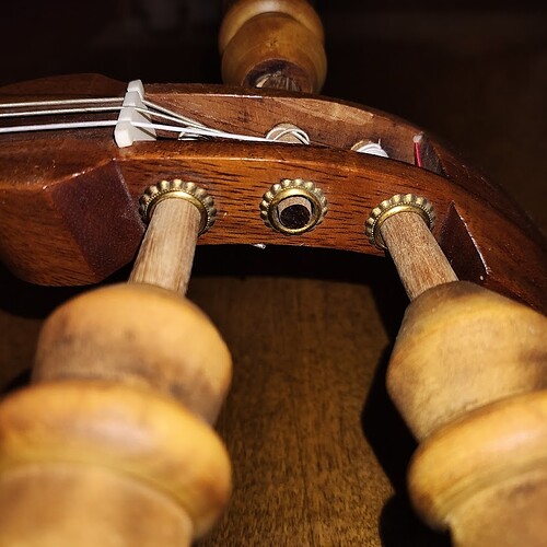 Shamisen 5