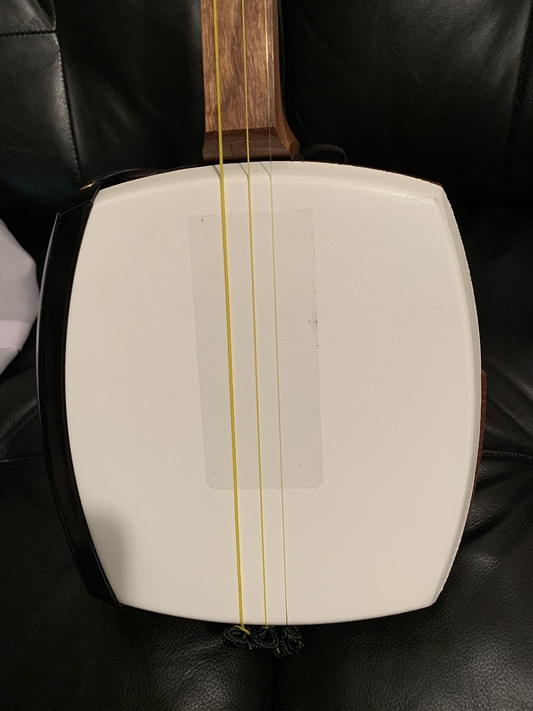 First time to build my shamisen Playing/Techniques Bachido Community