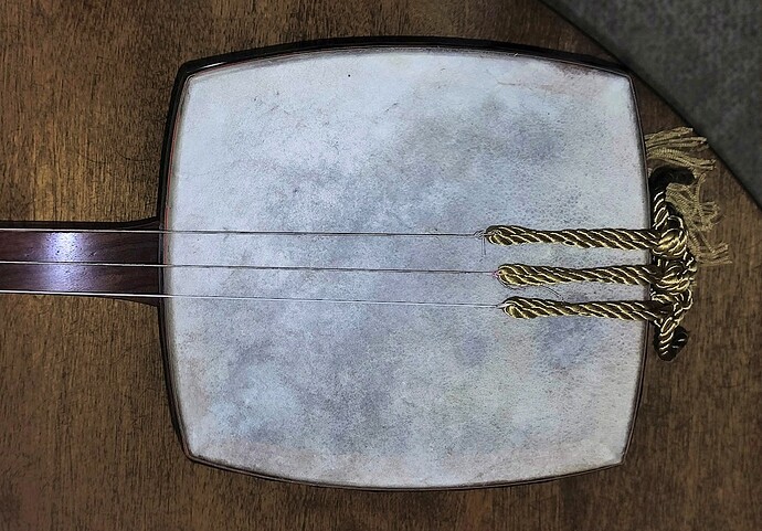 Shamisen 11